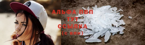 гидра Дмитриев