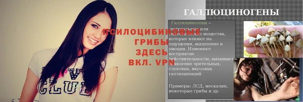 стафф Дмитров