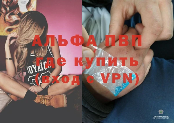 PSILOCYBIN Дмитровск