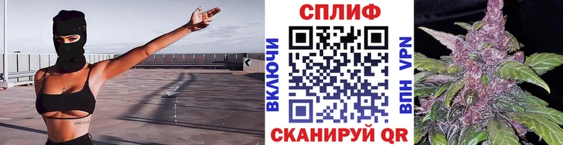 Бошки марихуана THC 21% mega tor Дмитриев
